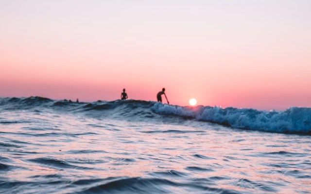 people surfing in the sunset